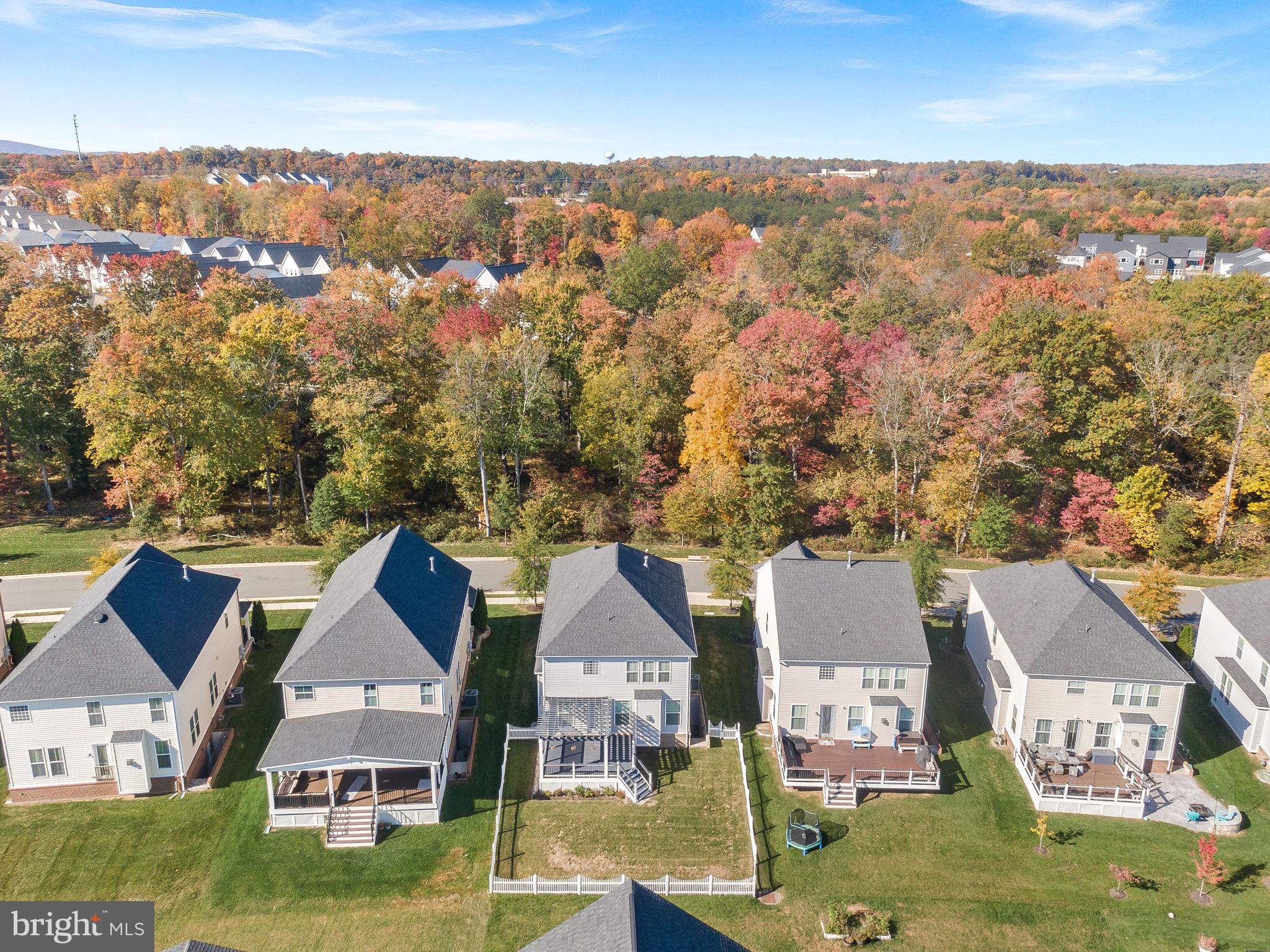 22820 Bubbling Brook Drive Brambleton, VA 20148 - Photo 49 of 60