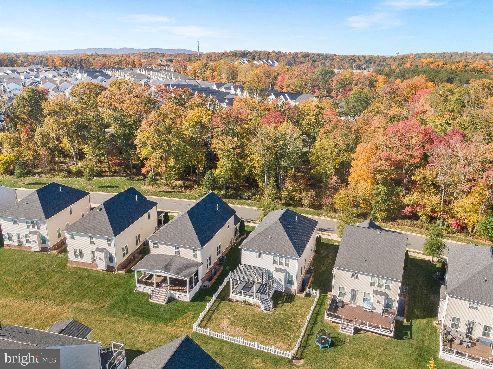 22820 Bubbling Brook Drive Brambleton, VA 20148 - Photo 50 of 60