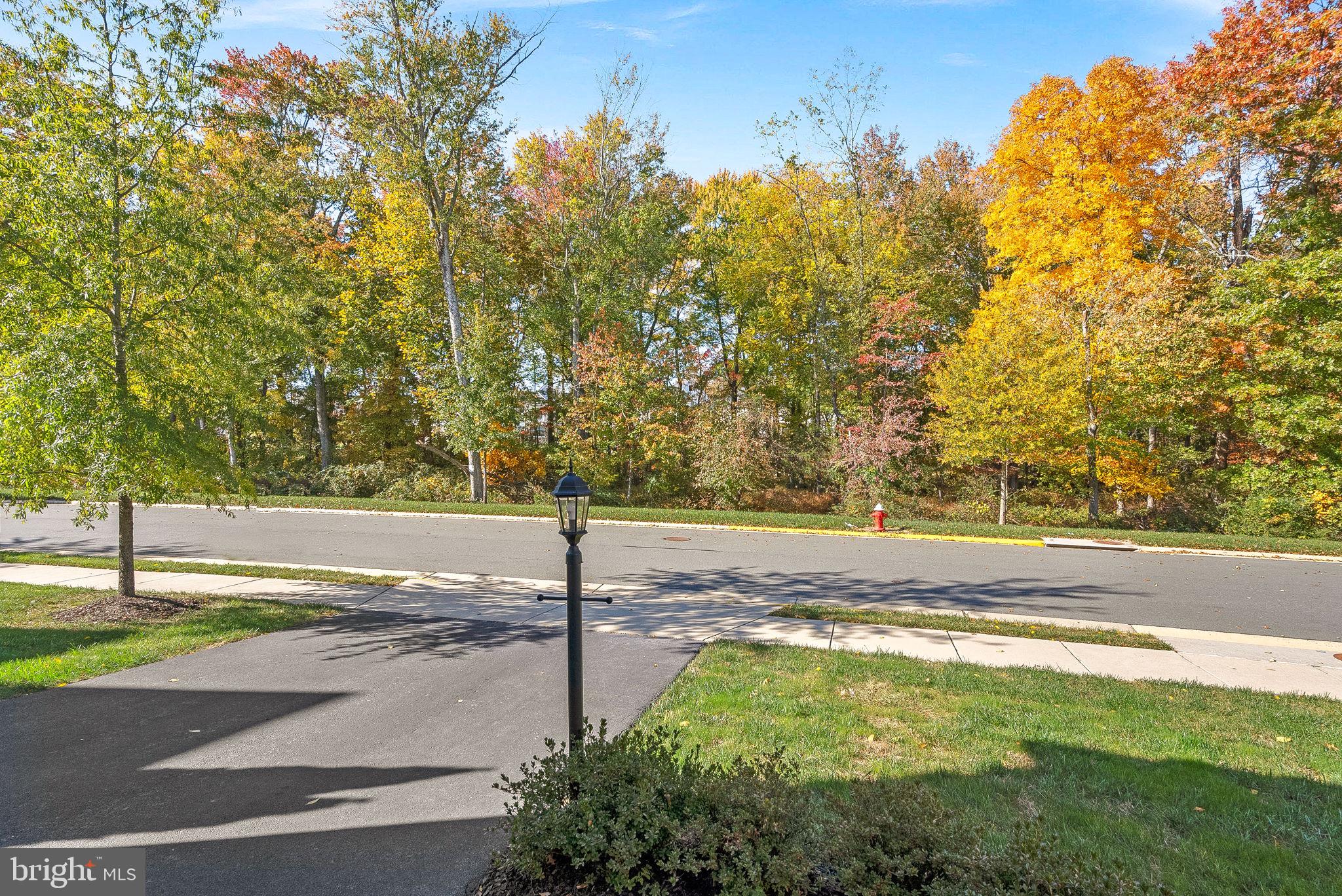 22820 Bubbling Brook Drive Brambleton, VA 20148 - Photo 5 of 60 View From Your Front Door