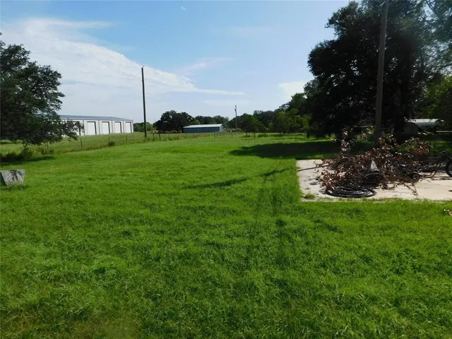 a view of a park with a tree