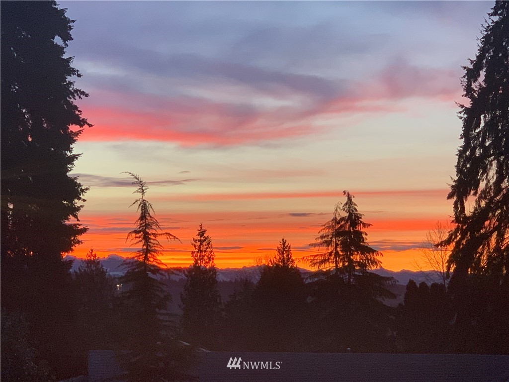 22622 3rd Avenue Southeast Bothell, WA 98021 - Photo 24 of 25