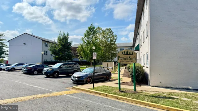 a view of yard with car parked