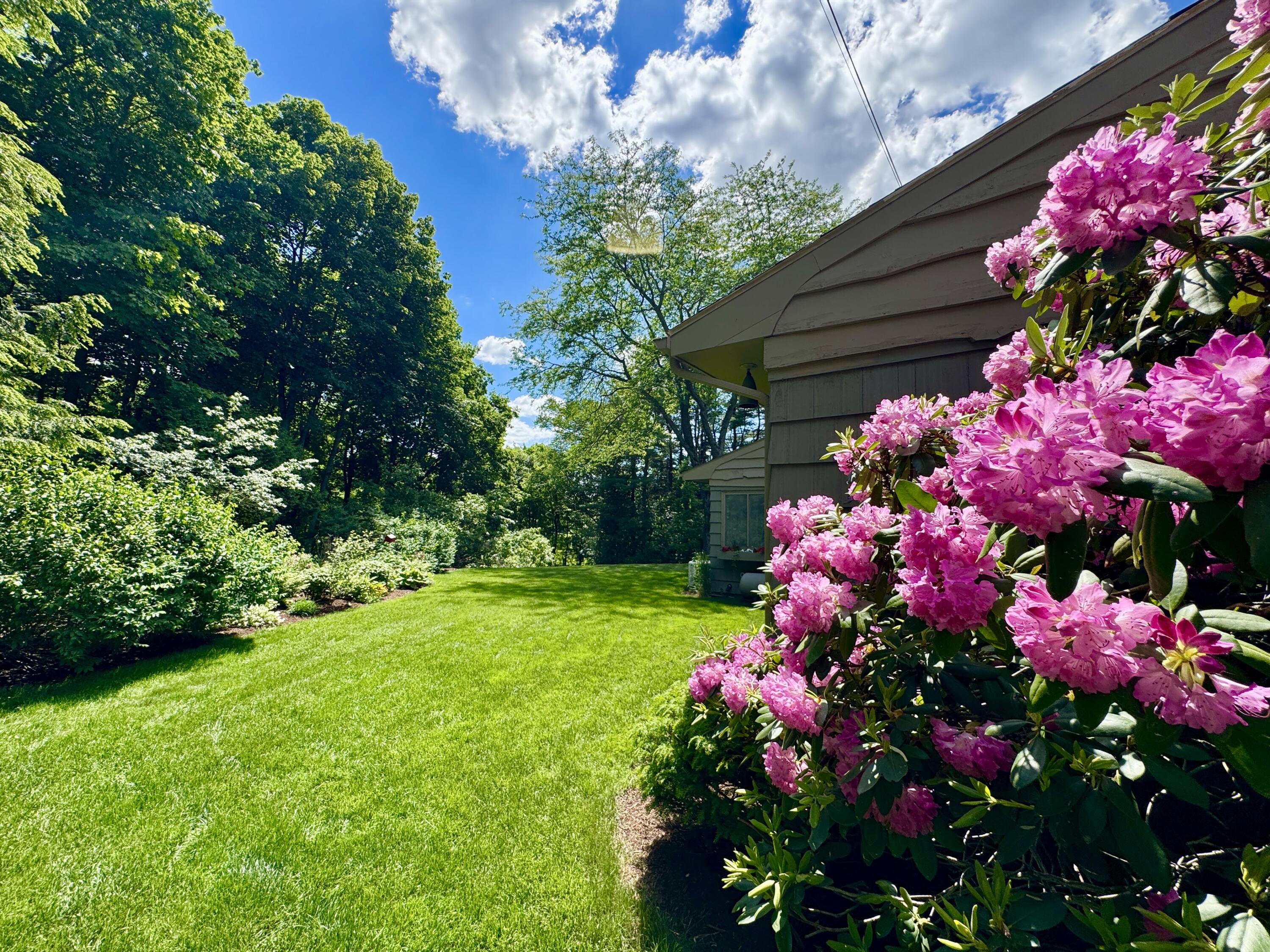281 Clyde Road Bangor, ME 04401 - Photo 6 of 108 IMG_9097