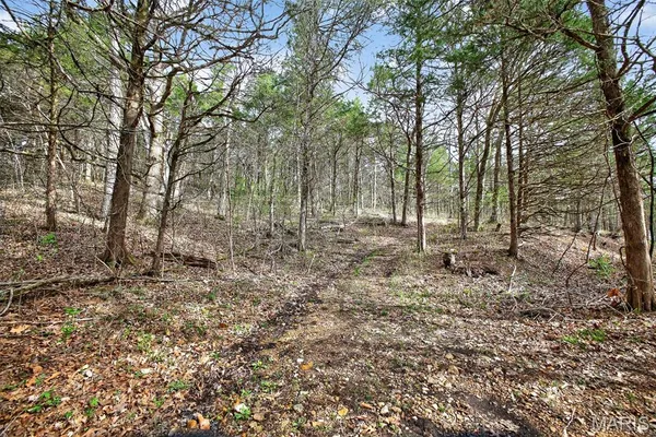 $279,900 | 31338 Highway 32, Lebanon, MO 65536