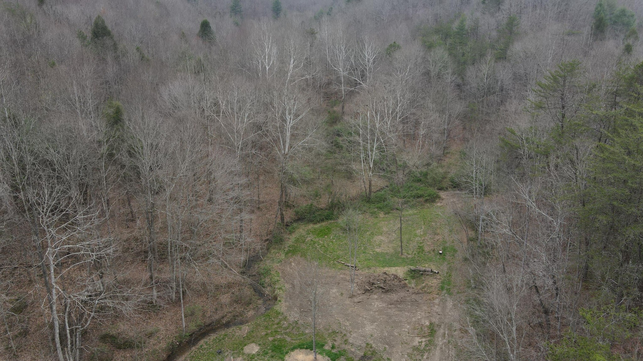 899 Morning Glory Road Oneida, TN 37841 - Photo 7 of 27