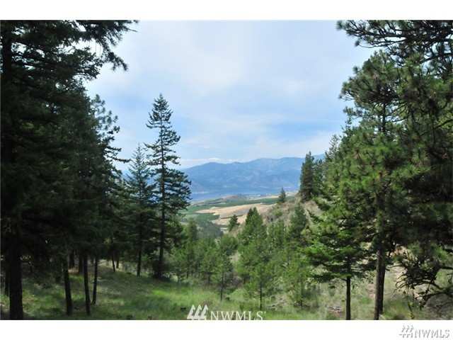 4251 Union Valley Road Chelan, WA 98816 - Photo 1 of 10 Gallery Image 1