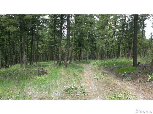 4251 Union Valley Road Chelan, WA 98816 - Photo 7 of 10 Gallery Image 7