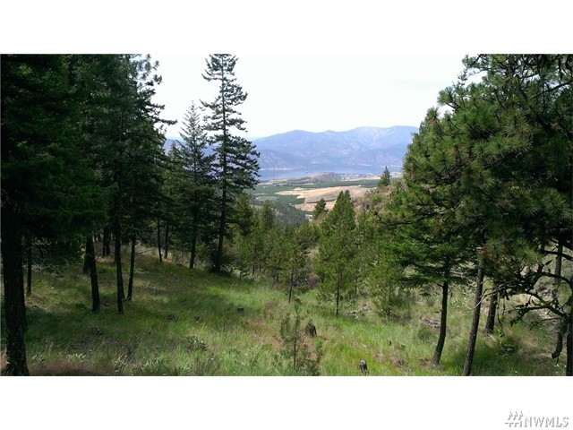 4251 Union Valley Road Chelan, WA 98816 - Photo 10 of 10 Gallery Image 10