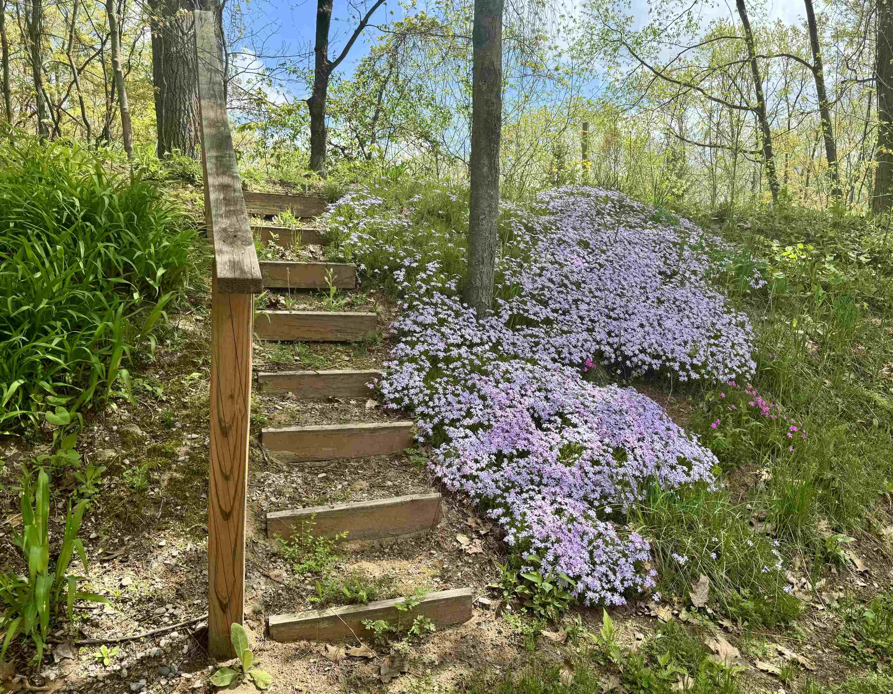 2331 East Monroe Road Harrison, MI 48625 - Photo 33 of 40 Gallery Image 33