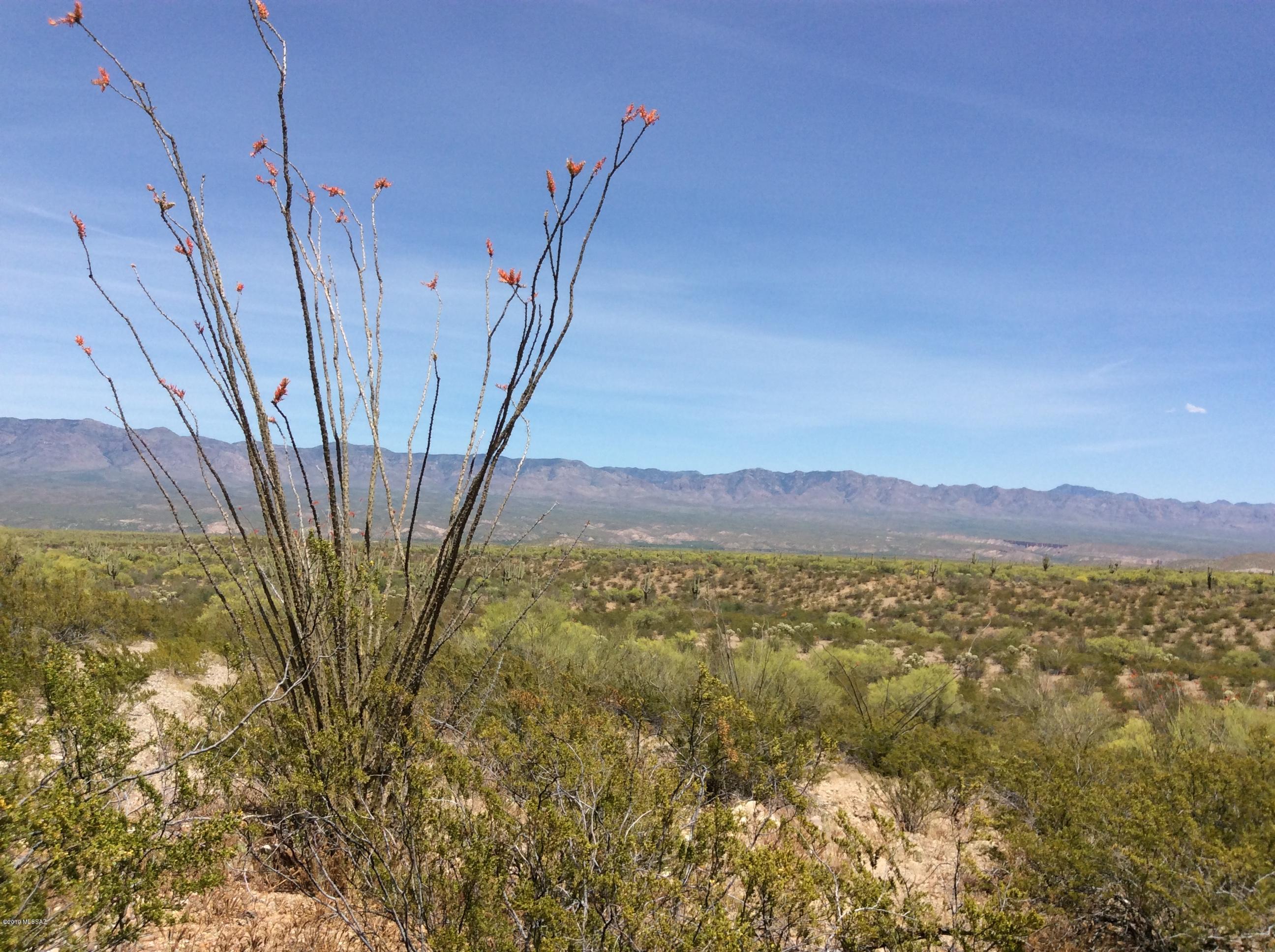 Peppersauce Mine Road San Manuel, AZ 85631 - Photo 22 of 33