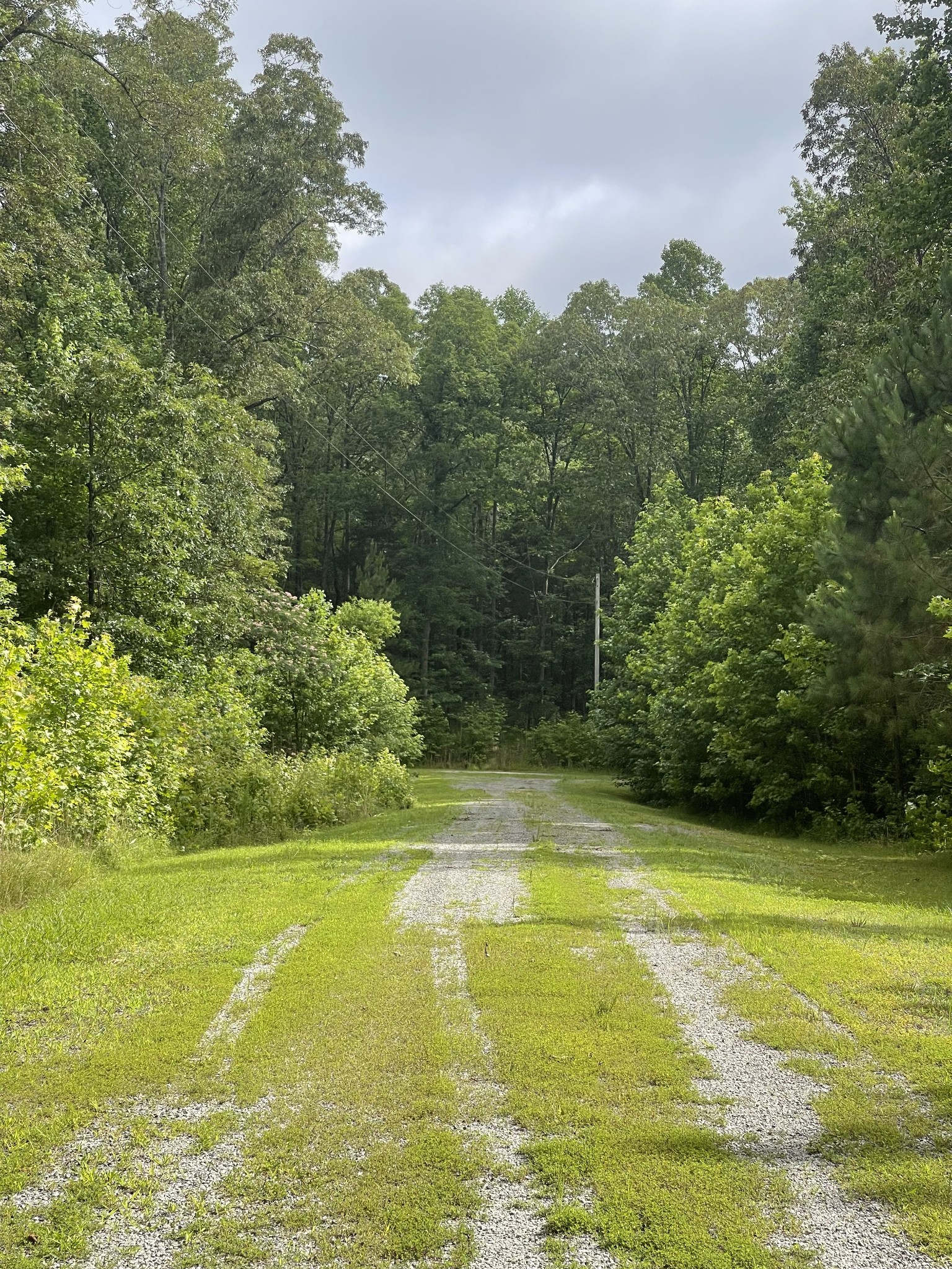 375 War Eagle Drive Cedar Grove, TN 38321 - Photo 11 of 43