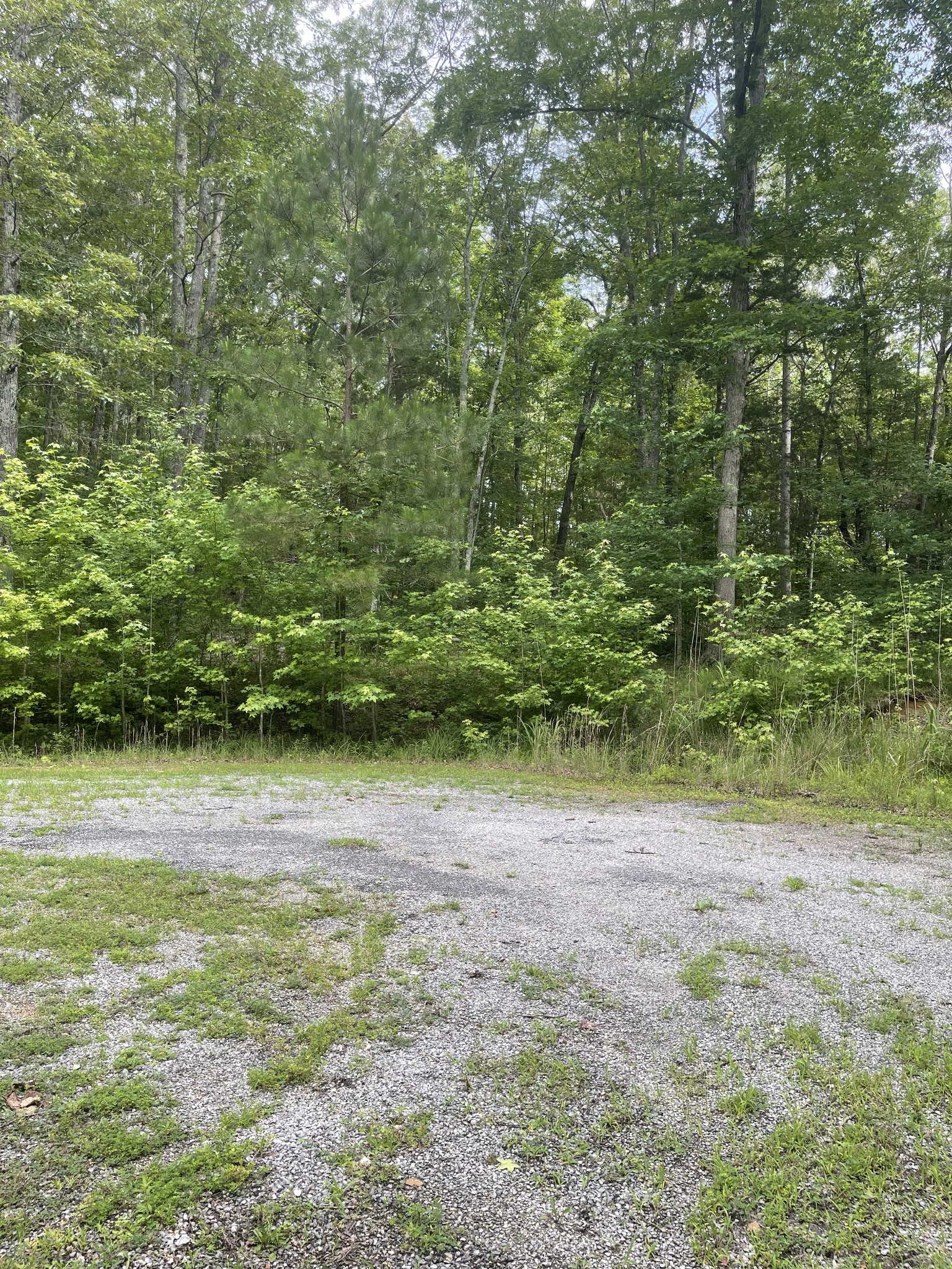 375 War Eagle Drive Cedar Grove, TN 38321 - Photo 2 of 43