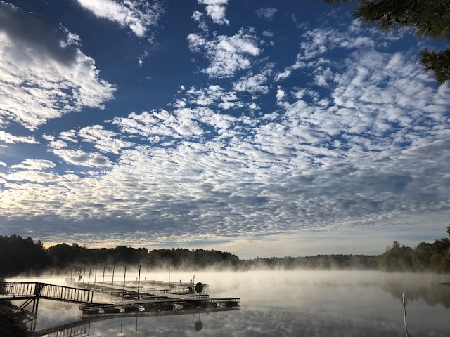 375 War Eagle Drive Cedar Grove, TN 38321 - Photo 26 of 43
