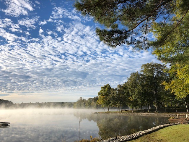 375 War Eagle Drive Cedar Grove, TN 38321 - Photo 27 of 43