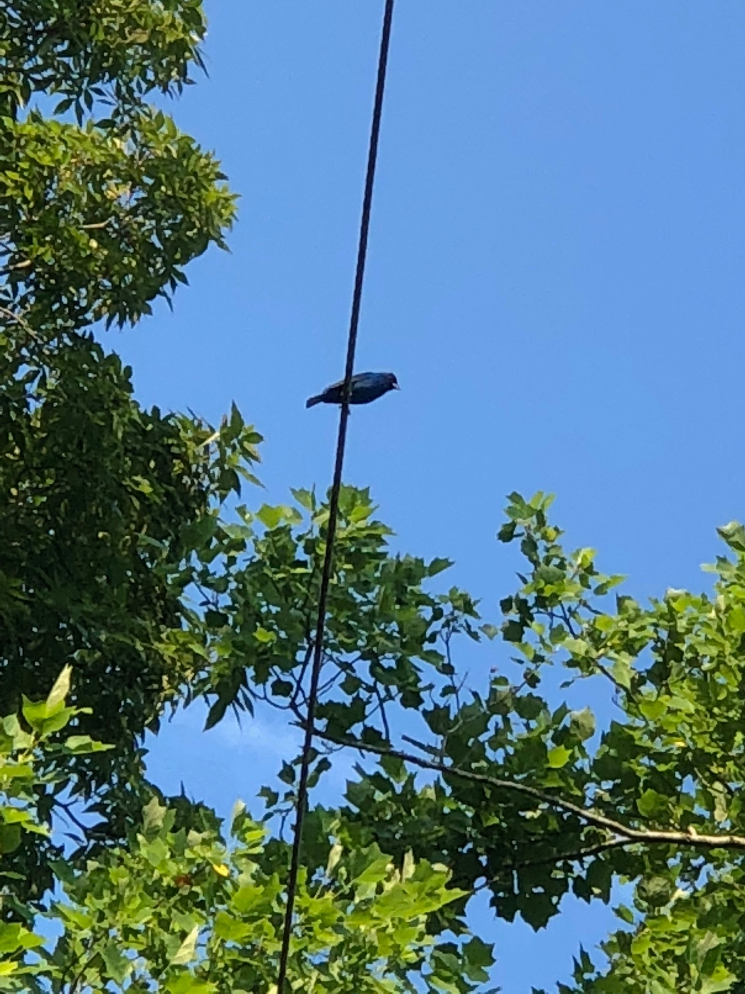 375 War Eagle Drive Cedar Grove, TN 38321 - Photo 30 of 43