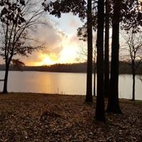 375 War Eagle Drive Cedar Grove, TN 38321 - Photo 40 of 43