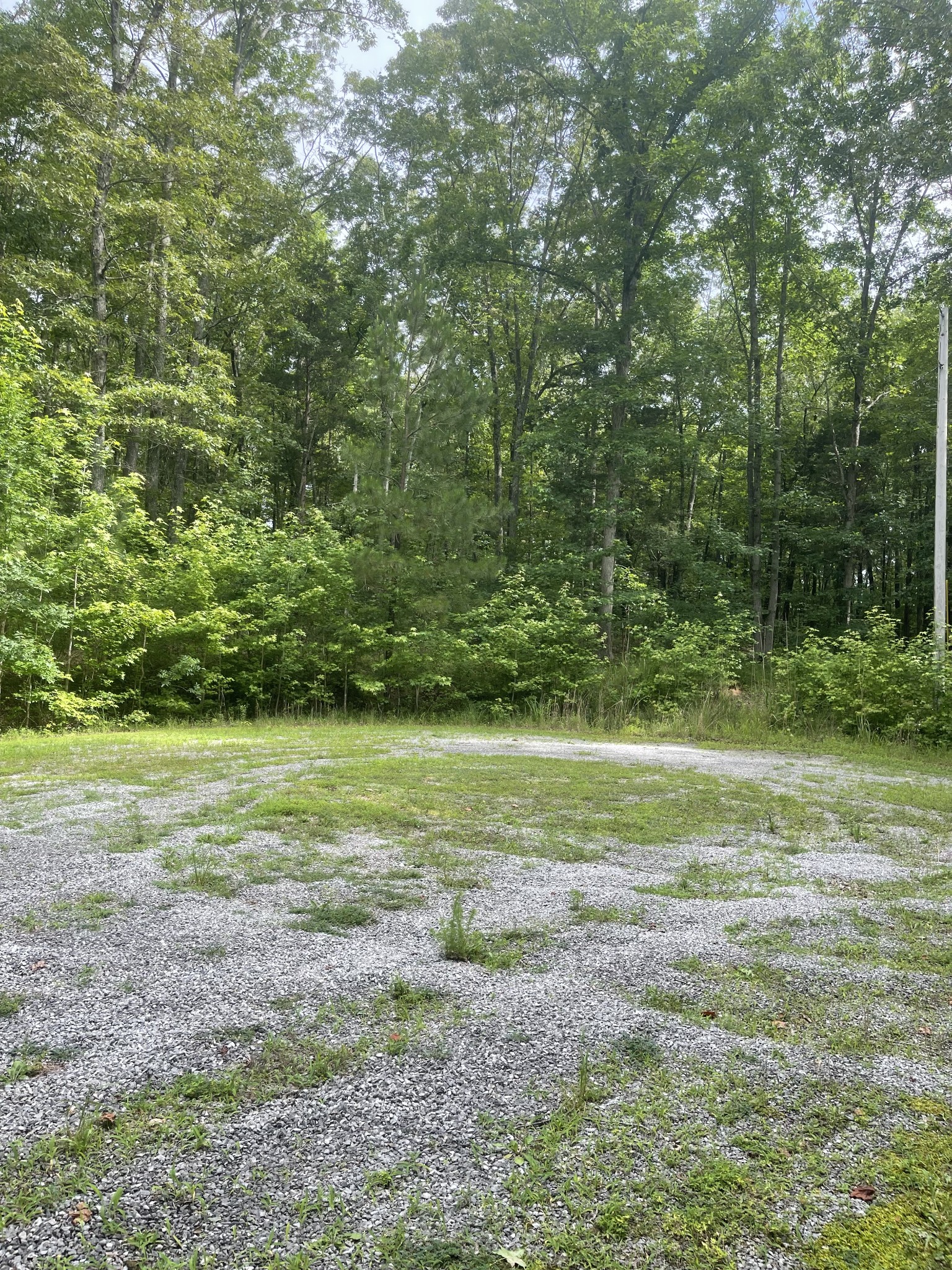 375 War Eagle Drive Cedar Grove, TN 38321 - Photo 4 of 43