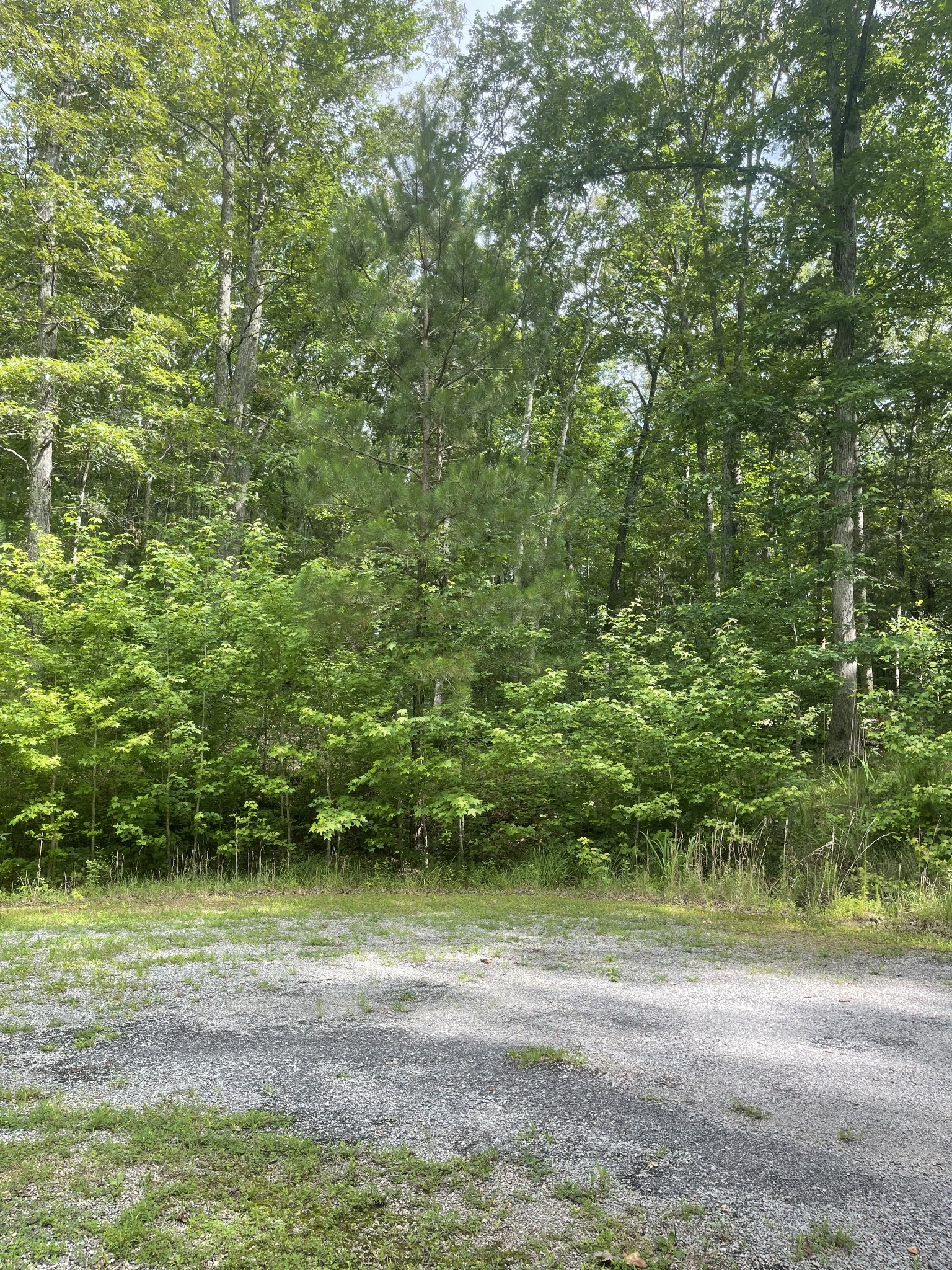 375 War Eagle Drive Cedar Grove, TN 38321 - Photo 6 of 43