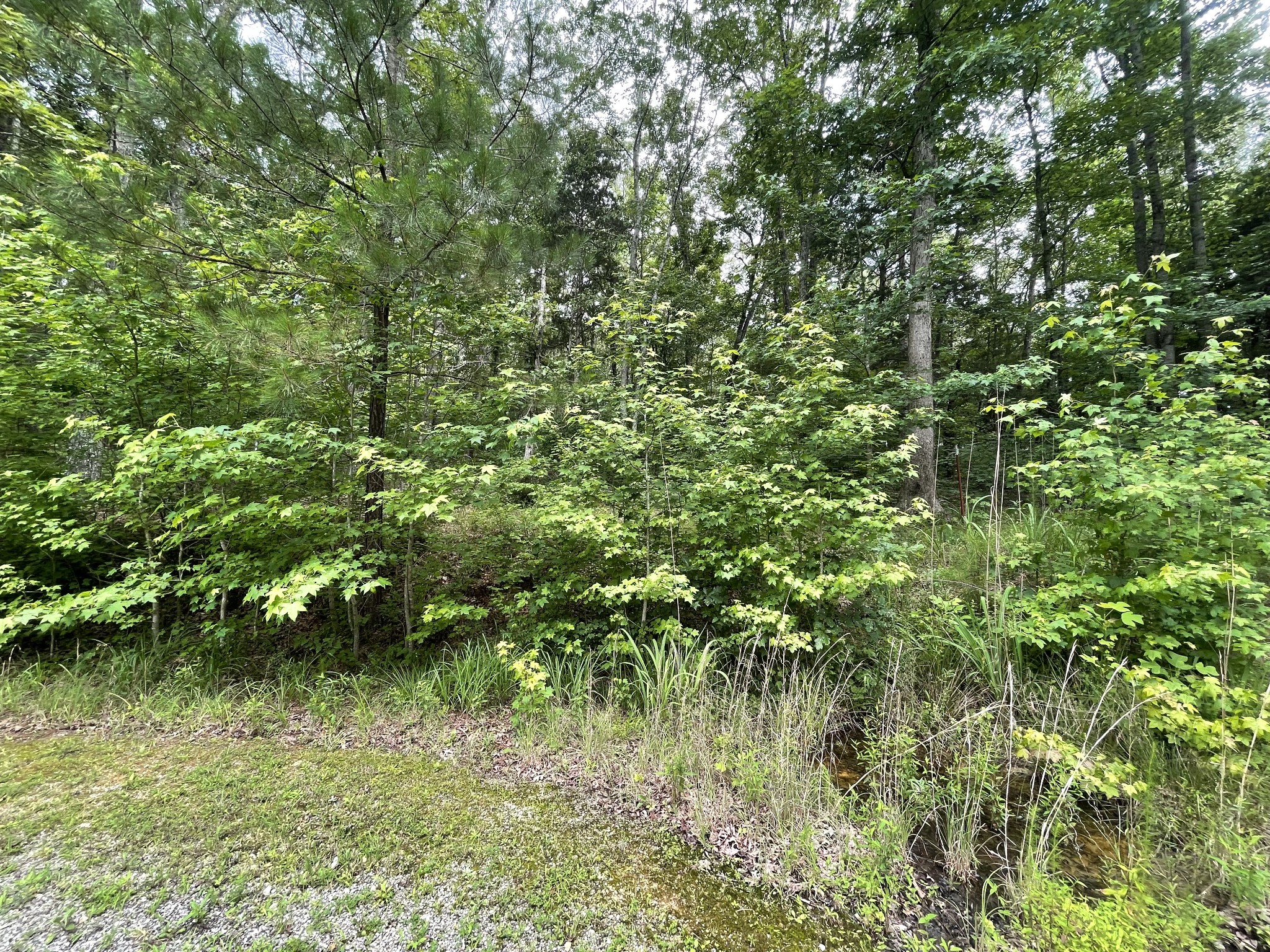 375 War Eagle Drive Cedar Grove, TN 38321 - Photo 8 of 43