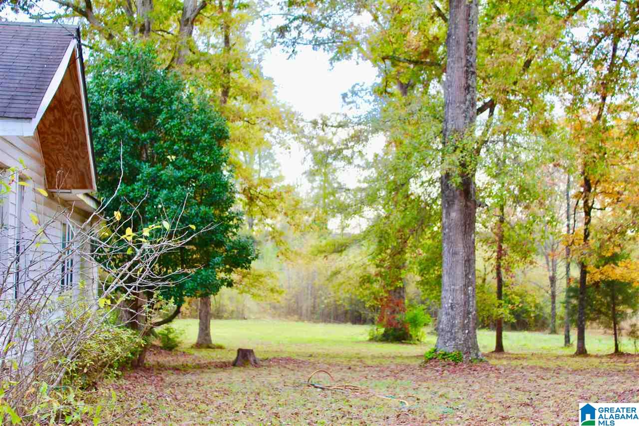 4861 Old Highway 280 Sterrett, AL 35147 - Photo 37 of 45