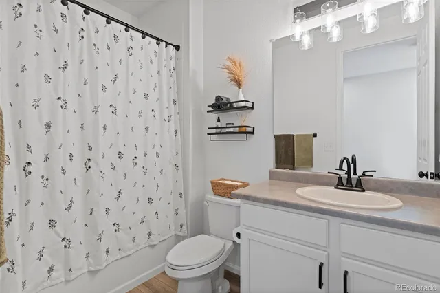 a bathroom with a sink a toilet and shower curtain
