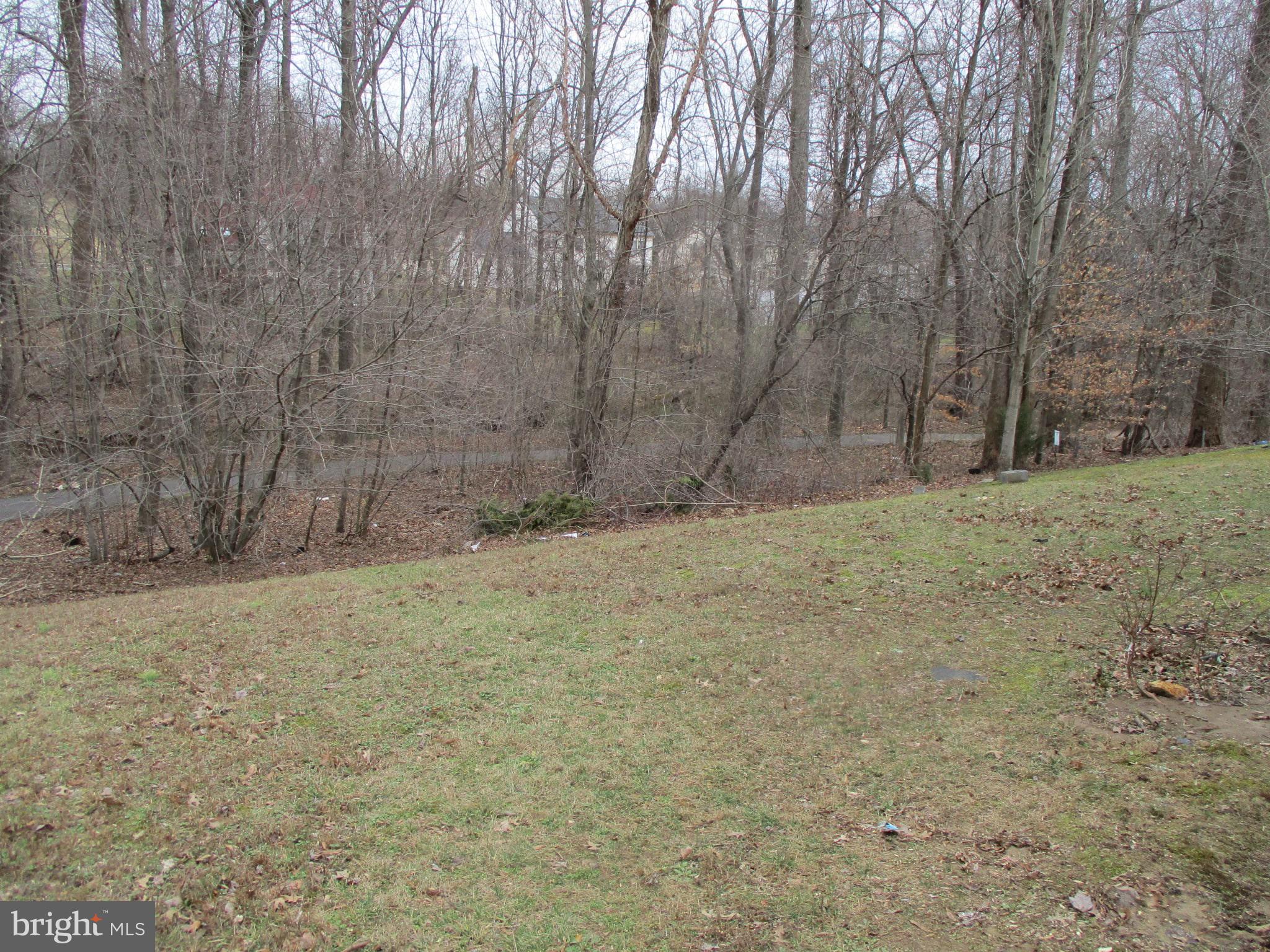 11019 Old York Road Bowie, MD 20721 - Photo 4 of 55 Back Yard