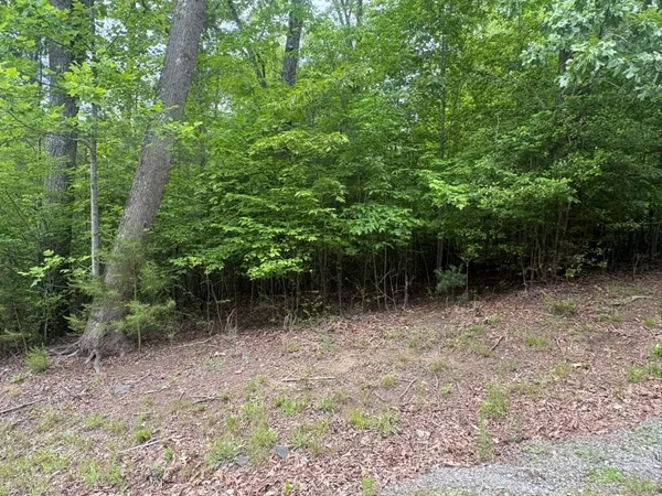 a view of outdoor space and trees