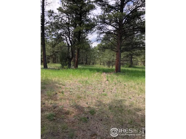 $1,275,000 | 442 Quarter Cir Lane, Evergreen, CO 80439