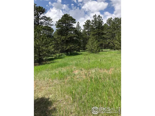 $1,275,000 | 442 Quarter Cir Lane, Evergreen, CO 80439