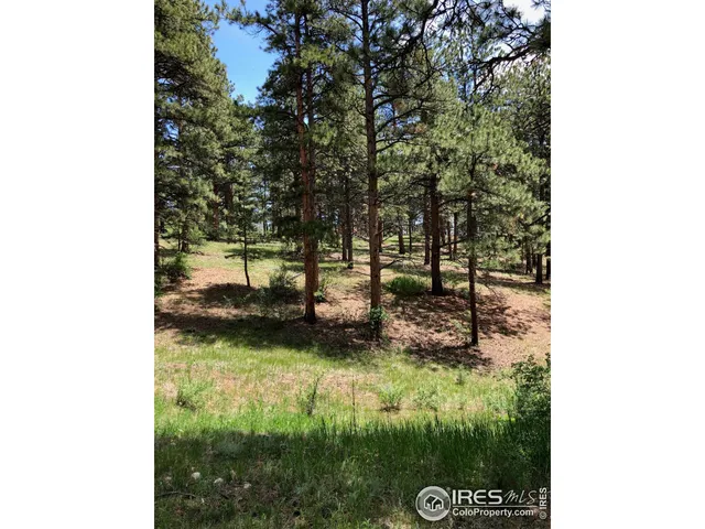 $1,275,000 | 442 Quarter Cir Lane, Evergreen, CO 80439