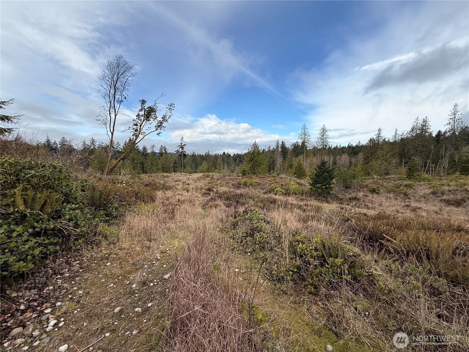 1422 East Sequim Bay Road Sequim, WA 98382 - Photo 14 of 19 a view of a town with mountains in the background
