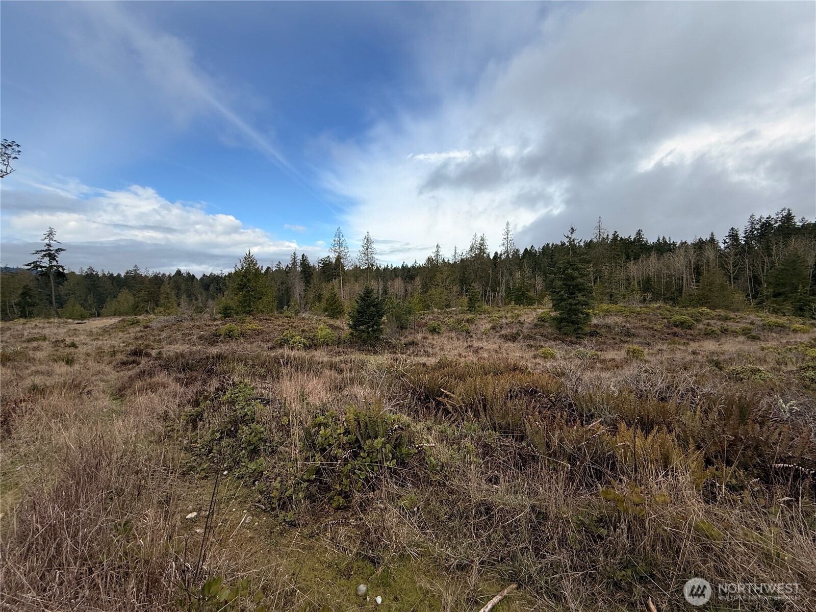 1422 East Sequim Bay Road Sequim, WA 98382 - Photo 15 of 19