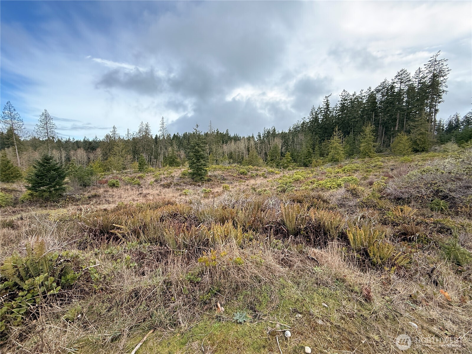 1422 East Sequim Bay Road Sequim, WA 98382 - Photo 16 of 19 a view of a yard