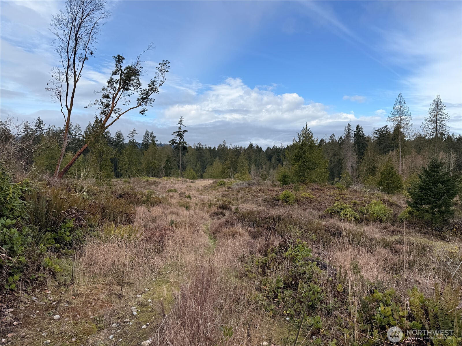 1422 East Sequim Bay Road Sequim, WA 98382 - Photo 18 of 19 a view of a field
