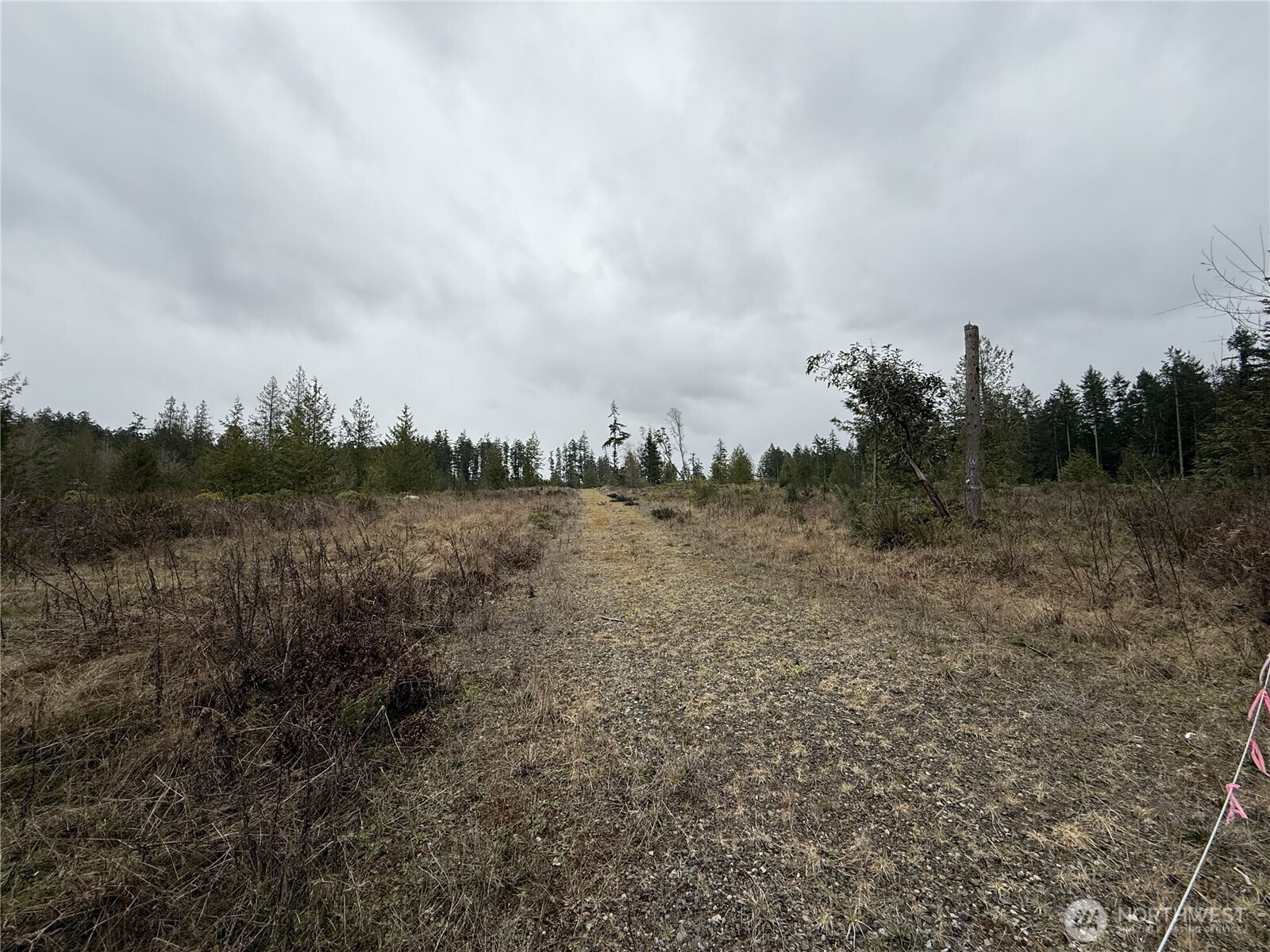 1422 East Sequim Bay Road Sequim, WA 98382 - Photo 2 of 19 a view of a lake in middle of forest