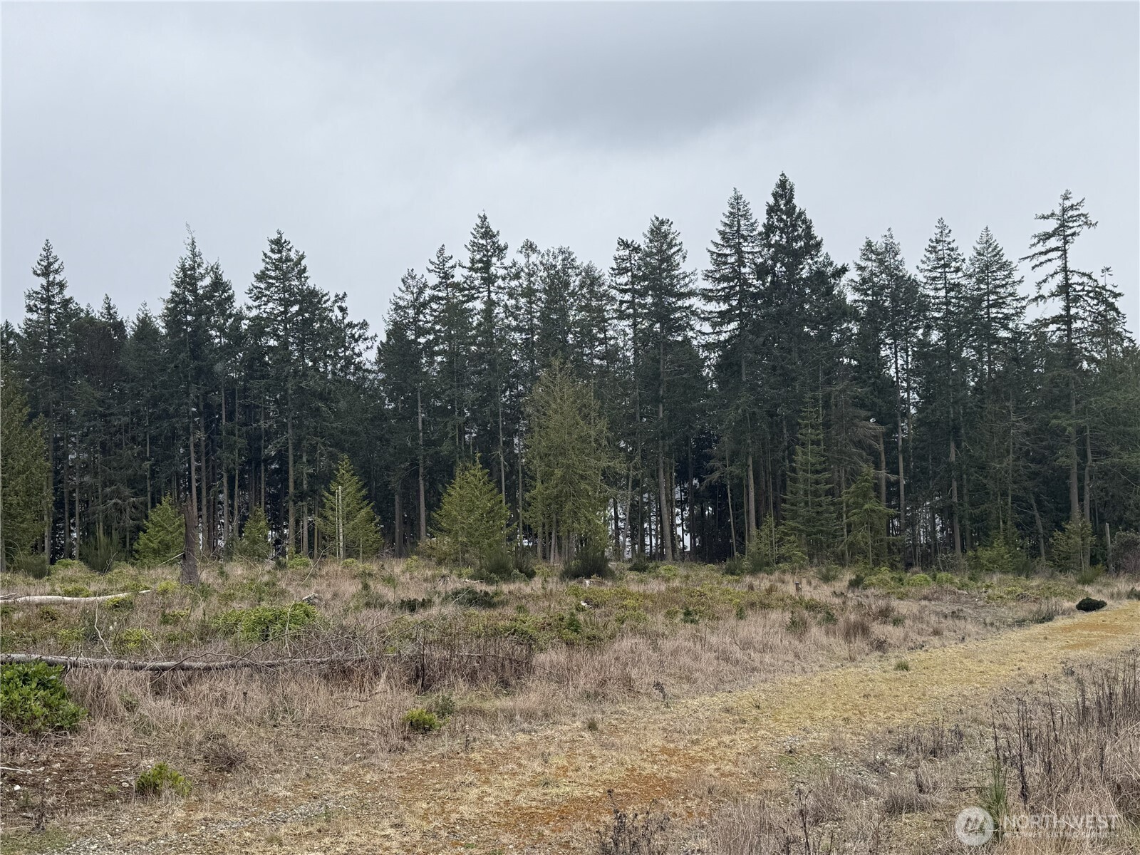 1422 East Sequim Bay Road Sequim, WA 98382 - Photo 3 of 19 a view of outdoor space with trees