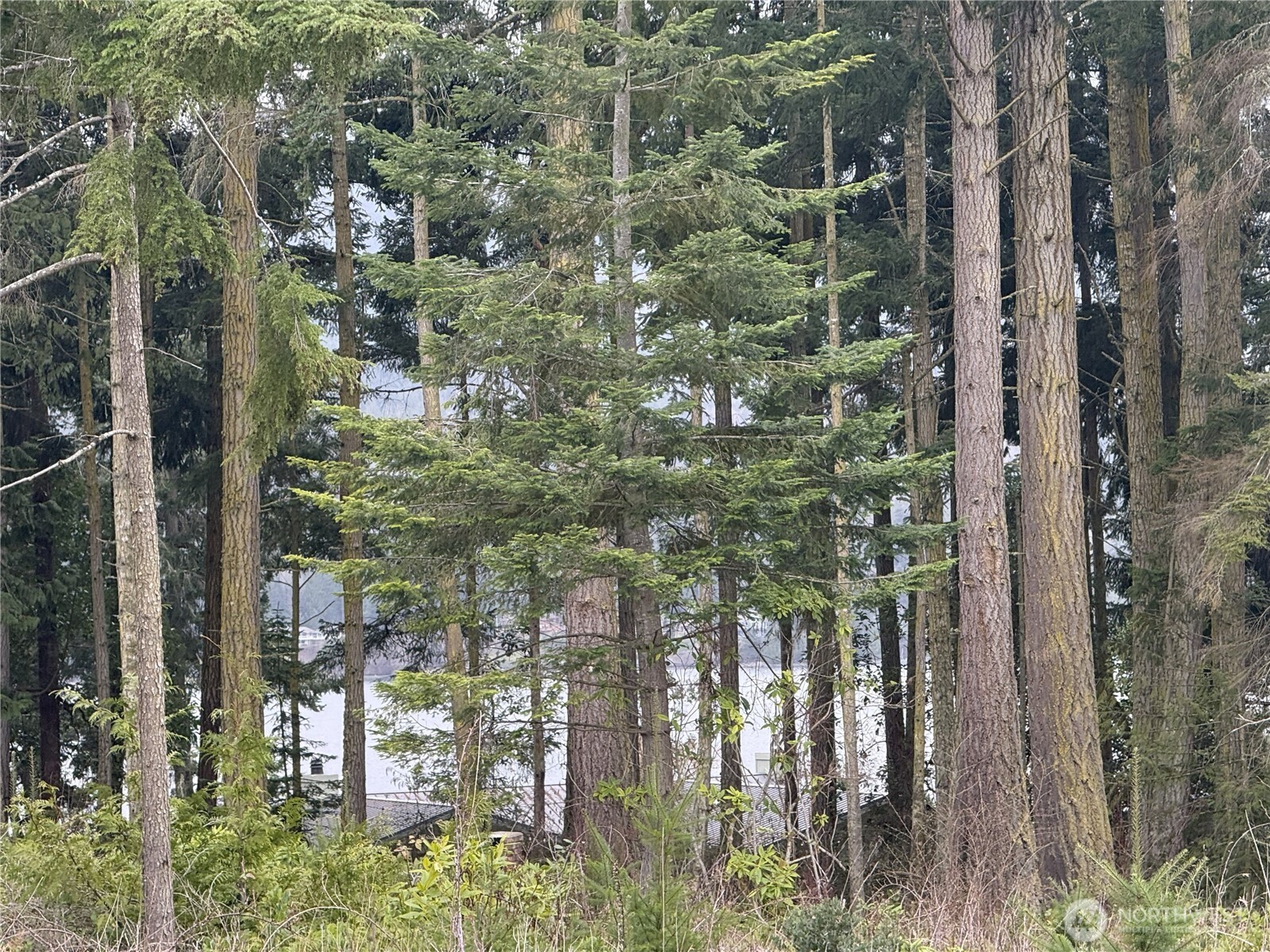 1422 East Sequim Bay Road Sequim, WA 98382 - Photo 4 of 19