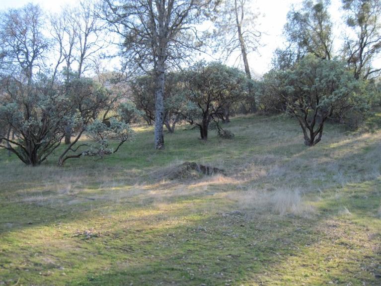 34427 Lodge Road Tollhouse, CA 93667 - Photo 12 of 33 Gallery Image 12