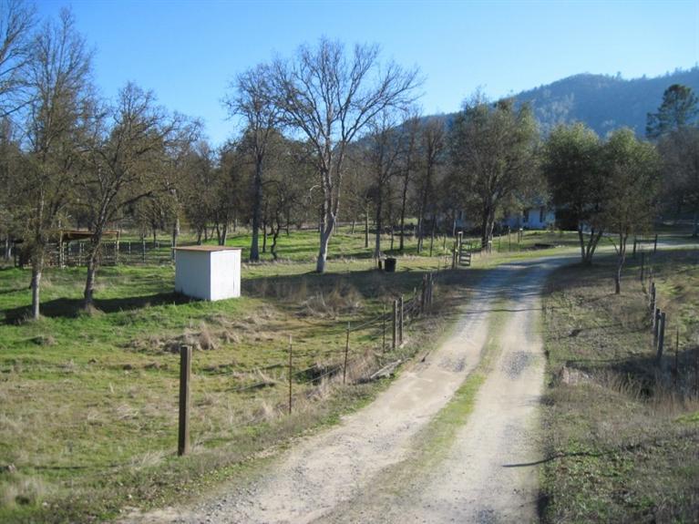 34427 Lodge Road Tollhouse, CA 93667 - Photo 6 of 33 Gallery Image 6