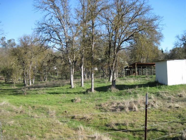 34427 Lodge Road Tollhouse, CA 93667 - Photo 7 of 33 Gallery Image 7