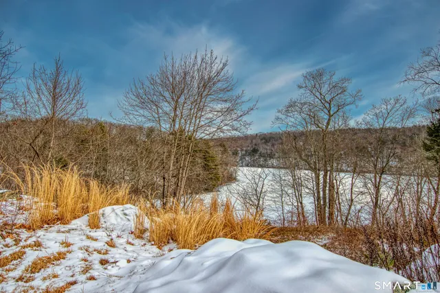 a view of backyard of the house