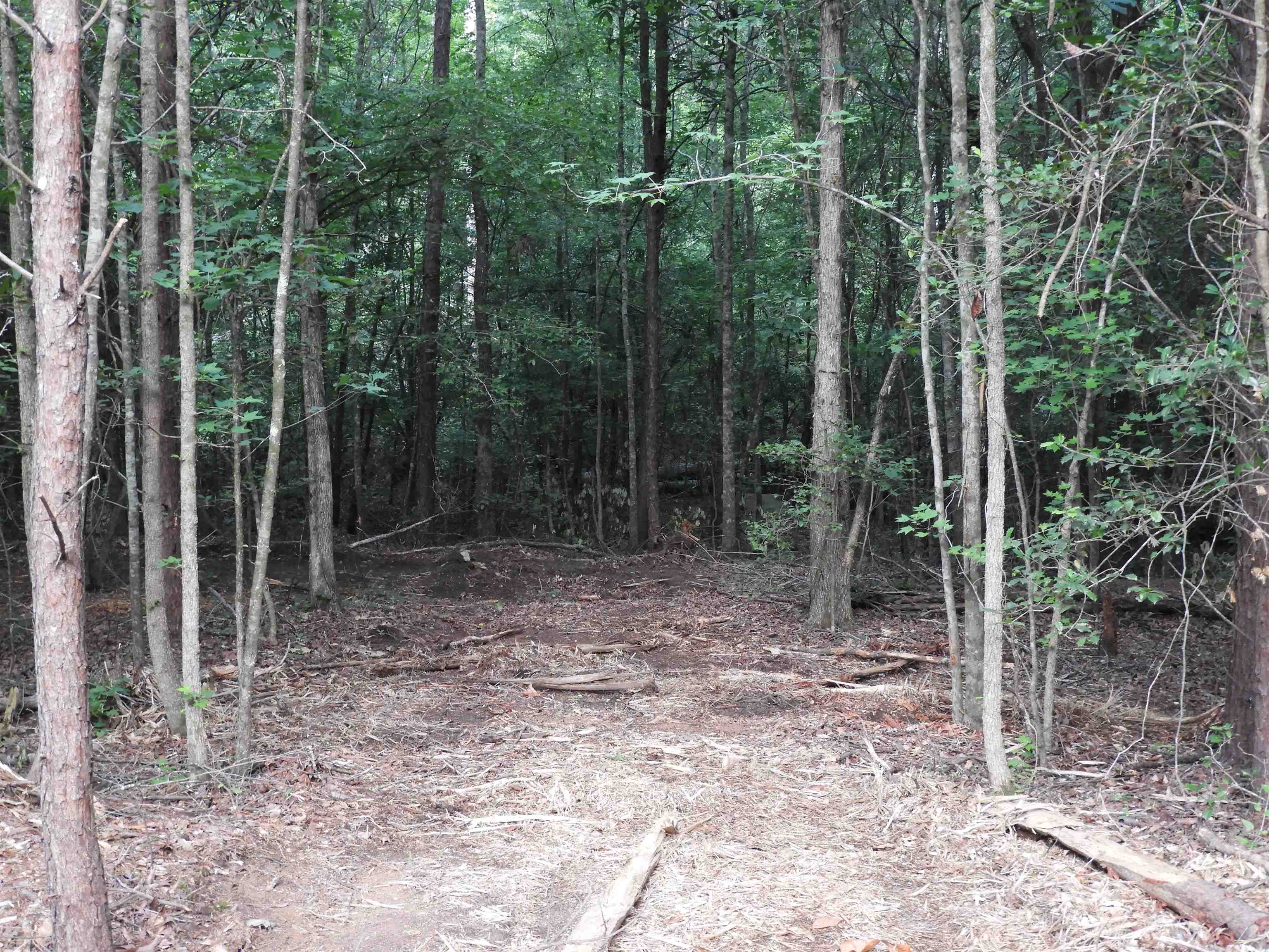 2109-tract D 2109-tract D Riddle Road Pauline, SC 29374 - Photo 13 of 42