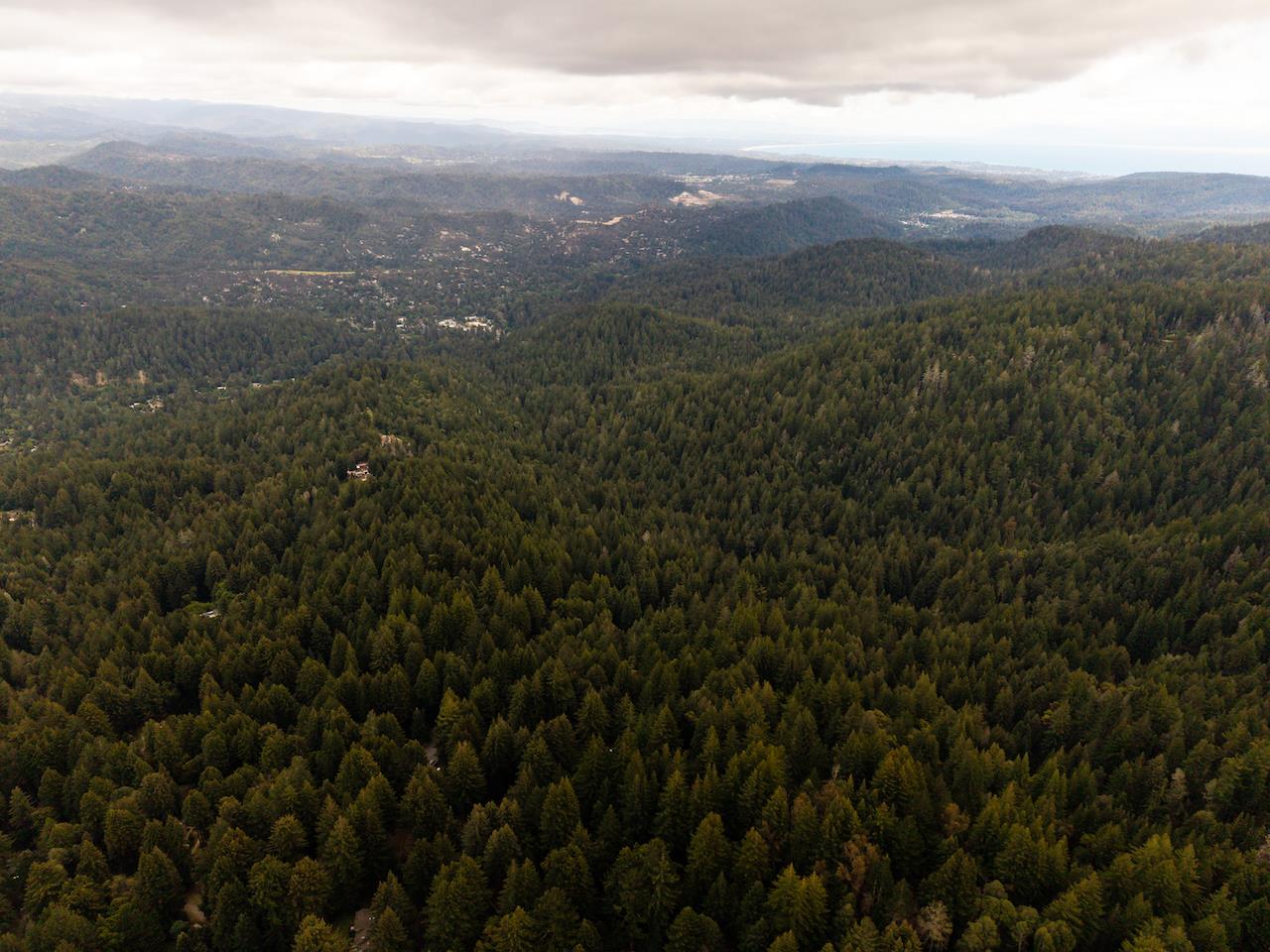 295 Jim's Road Ben Lomond, CA 95005 - Photo 135 of 139