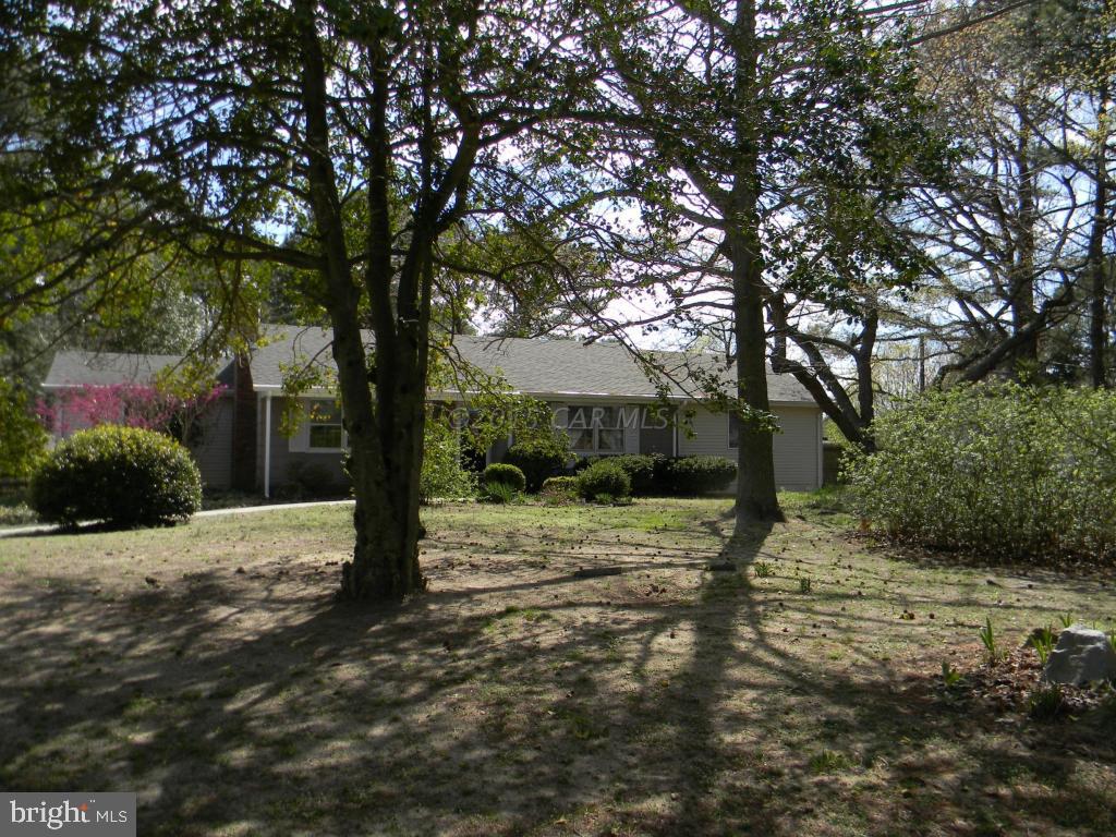 20727 Cove Road Bivalve, MD 21814 - Photo 1 of 25 Gallery Image 1