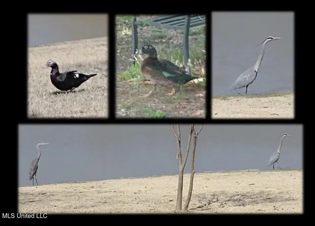 $435,000 | 114 Sherwood Cove, Batesville, MS 38606