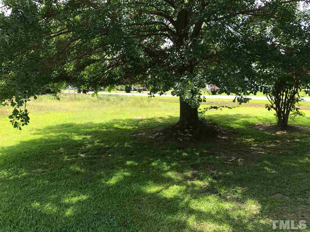 25 Brogden School Road Smithfield, NC 27577 - Photo 4 of 12 Gallery Image 4