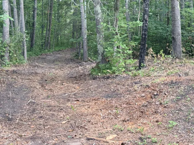 $399,000 | 5625 Rice Lake Road Northeast, Blackduck, MN 56630