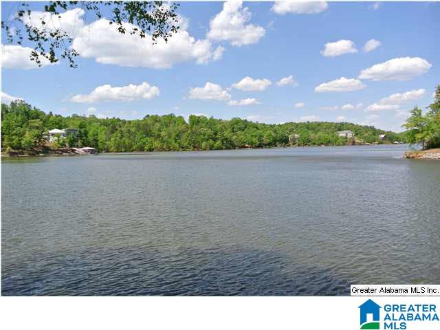 468 Wiley Drive Wedowee, AL 36278 - Photo 7 of 31