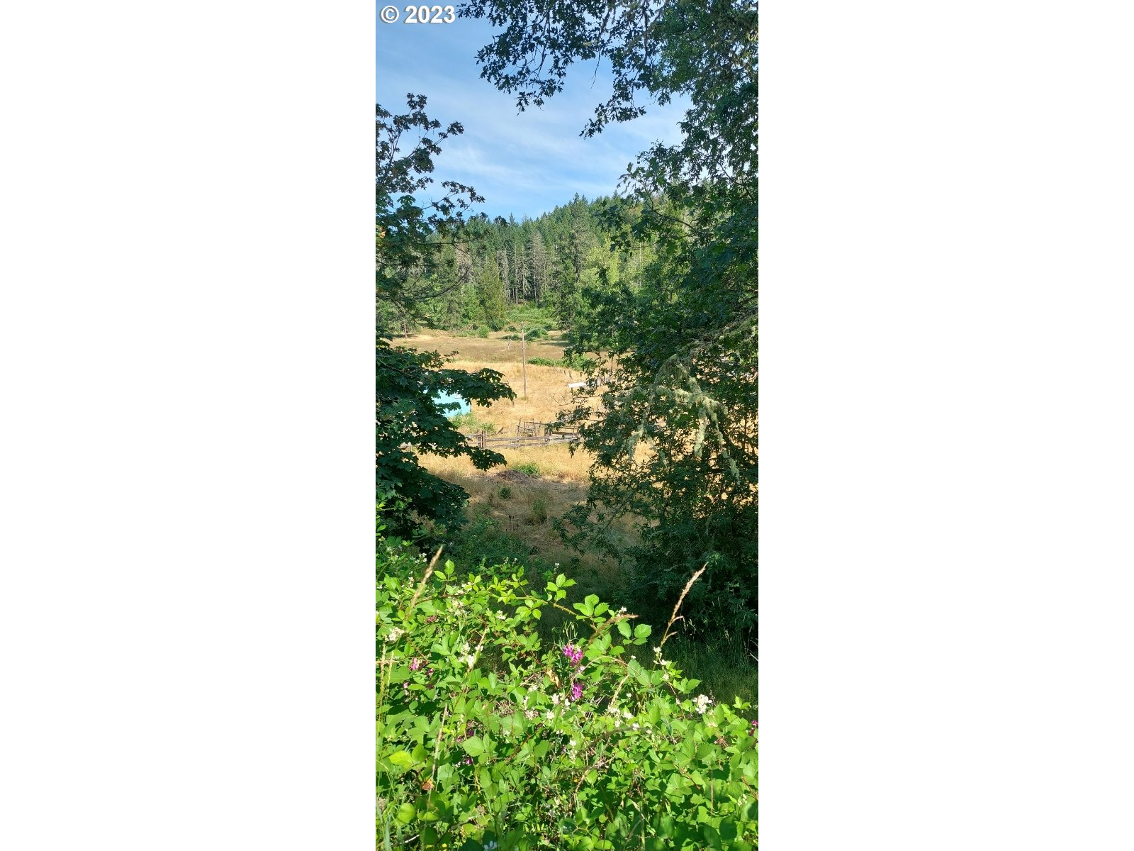 1805 Shoestring Road Riddle, OR 97469 - Photo 14 of 30