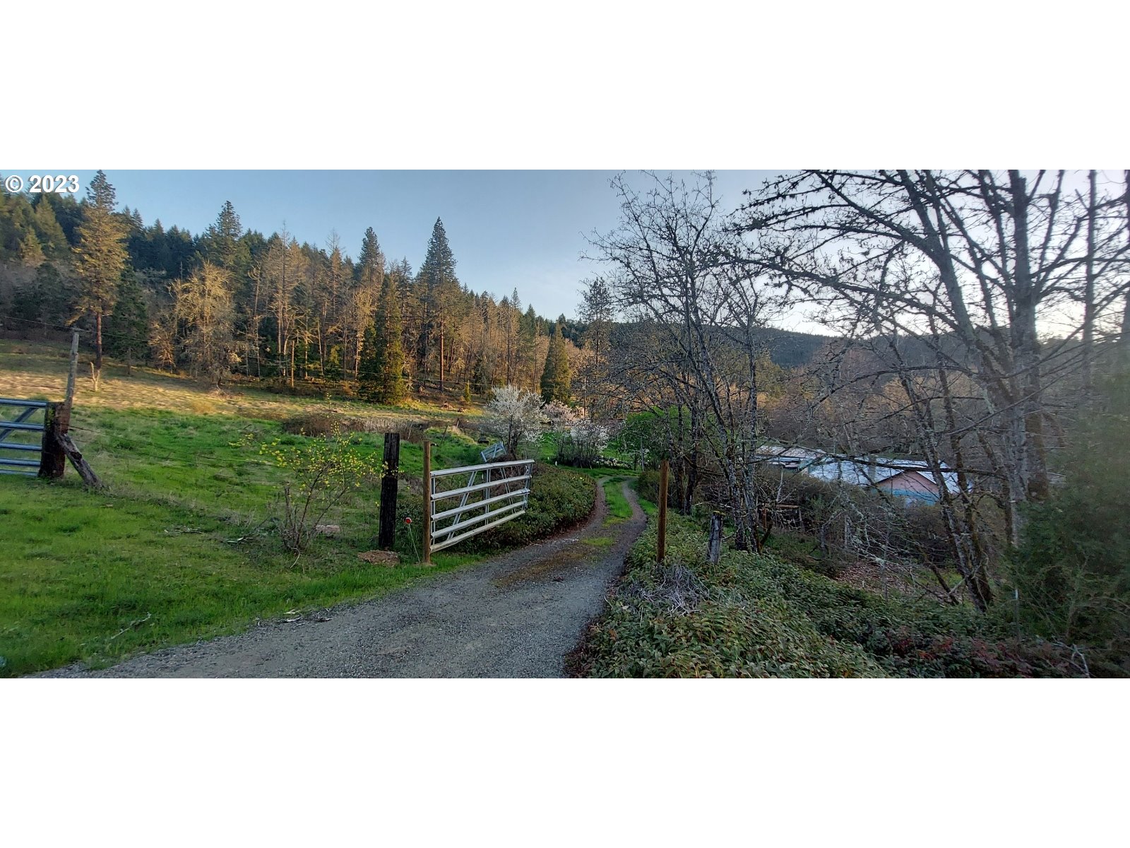 1805 Shoestring Road Riddle, OR 97469 - Photo 20 of 30 a view of a back yard